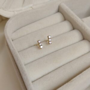 Brinco fixo riviera 2mm